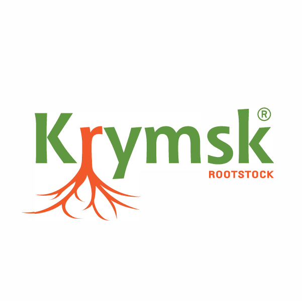 Krymsk Rootstock